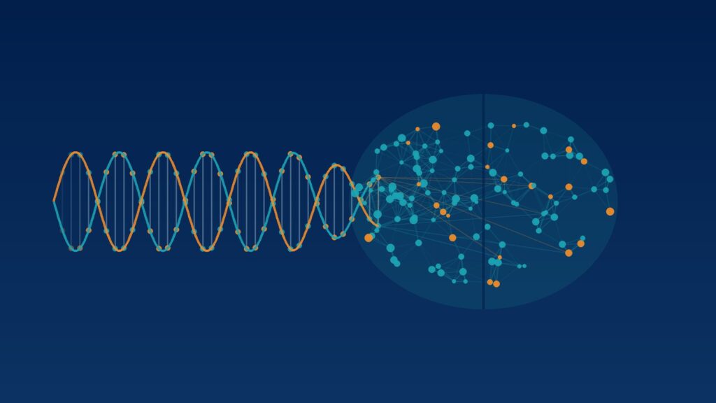 Abstrakt illustration af en DNA-spiral, der glider over i en hjerne – ADHD og genetik